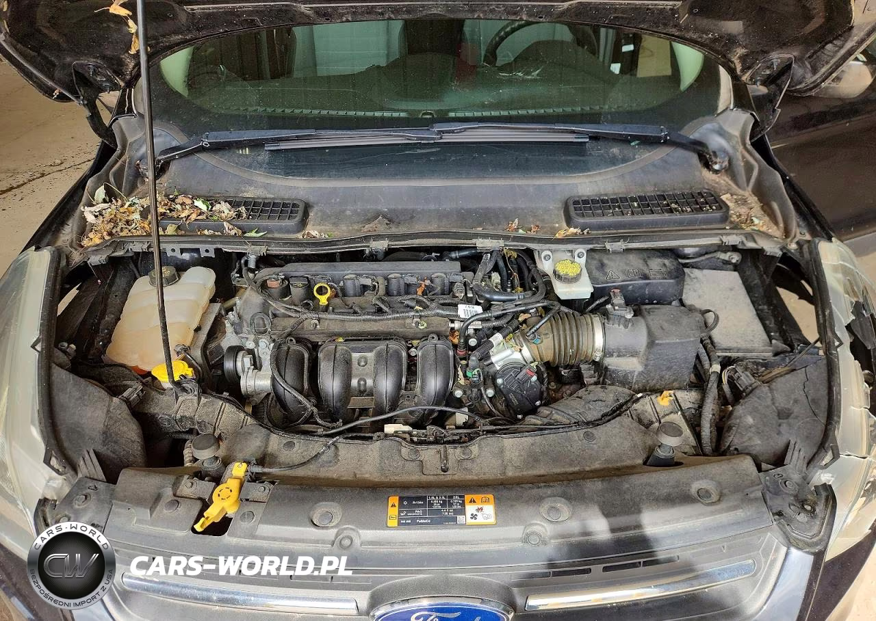 2016 Ford Escape Se VIN:1FMCU0G72GUC06844 - 12