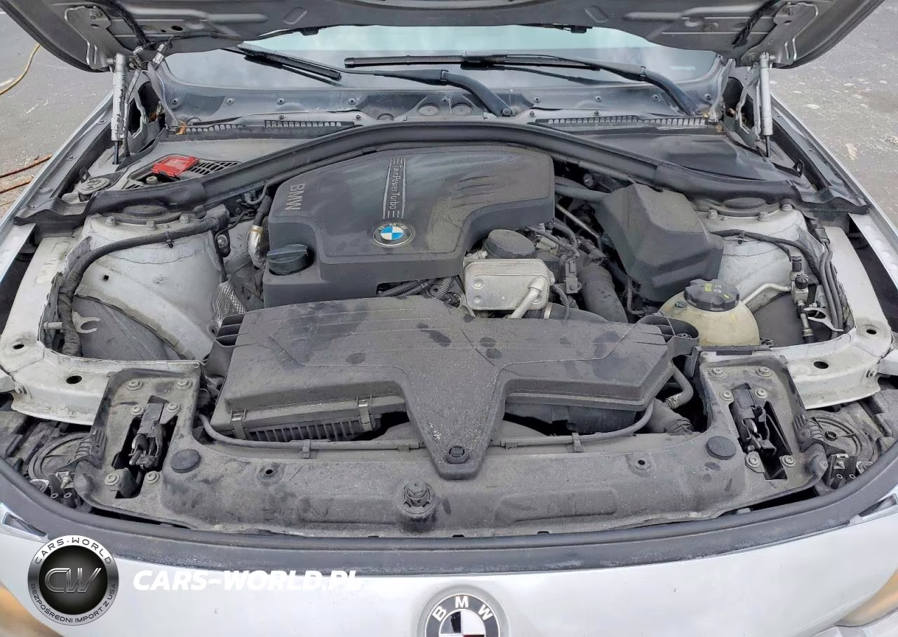 2016 BMW 320 Xi VIN:WBA8E5G51GNT94668 - 11