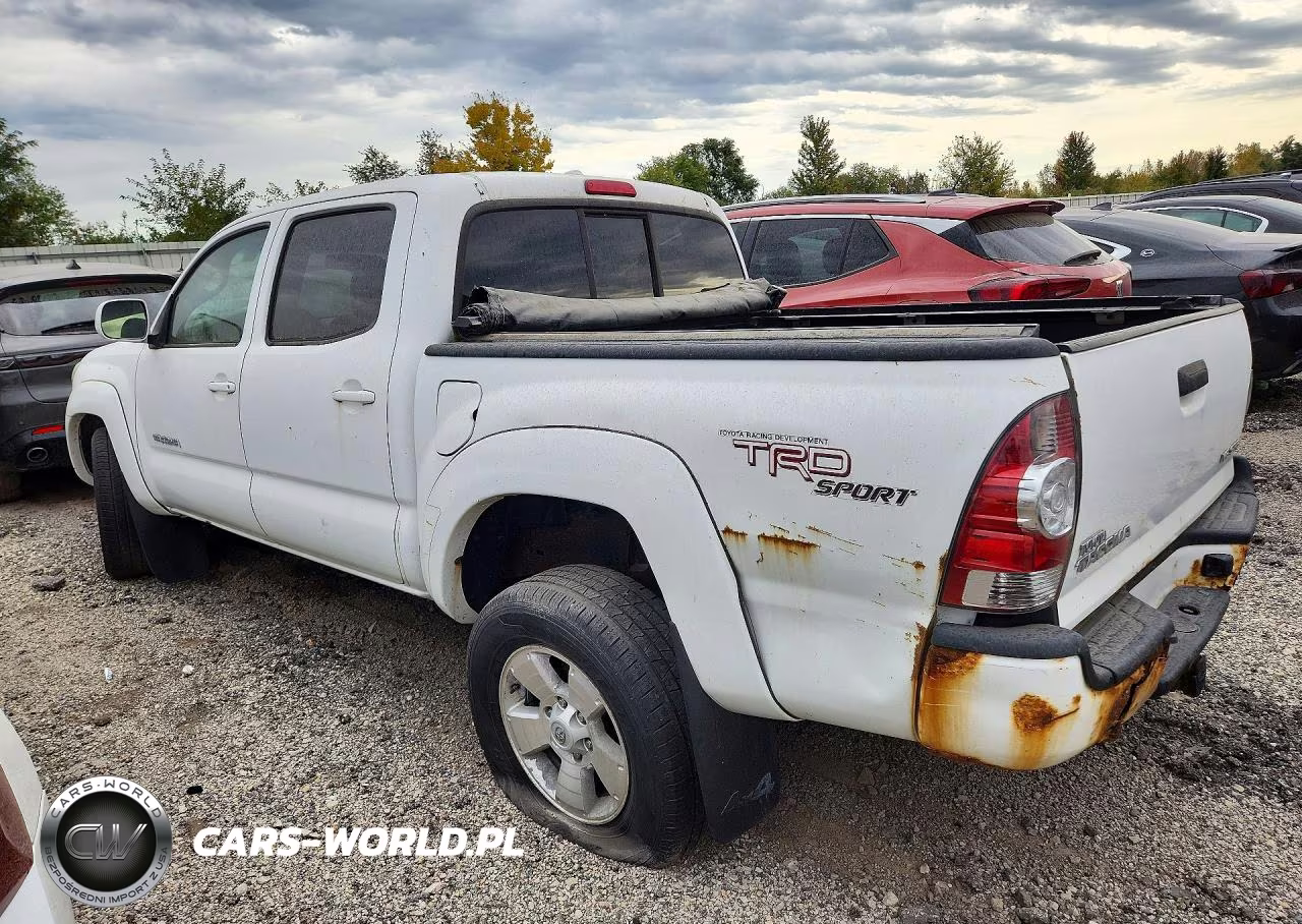 2009 Toyota Tacoma Double Cab VIN:3TMLU42N29M029463 - 2