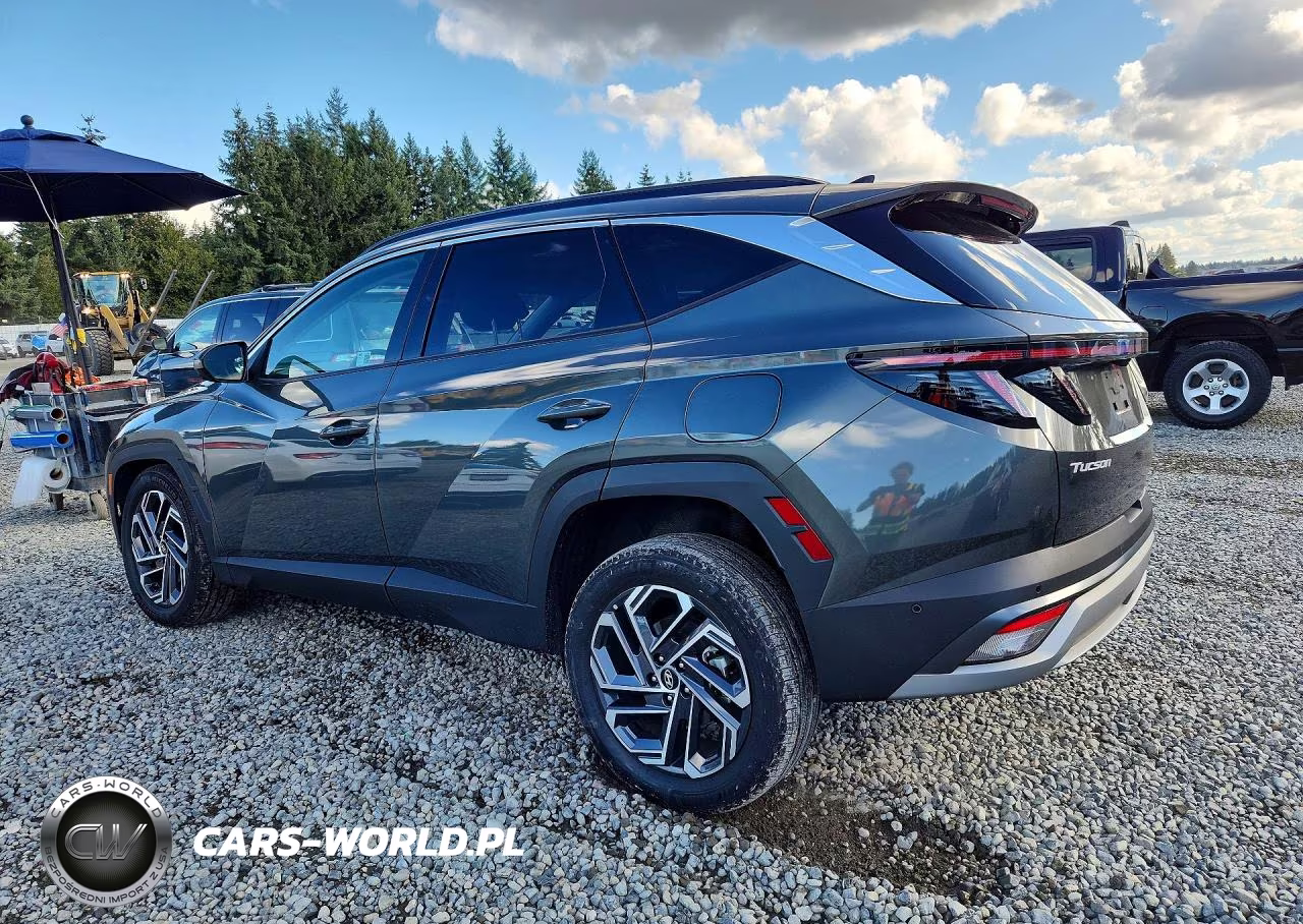 2025 Hyundai Tucson Limited VIN:KM8JEDD17SU253582 - 2