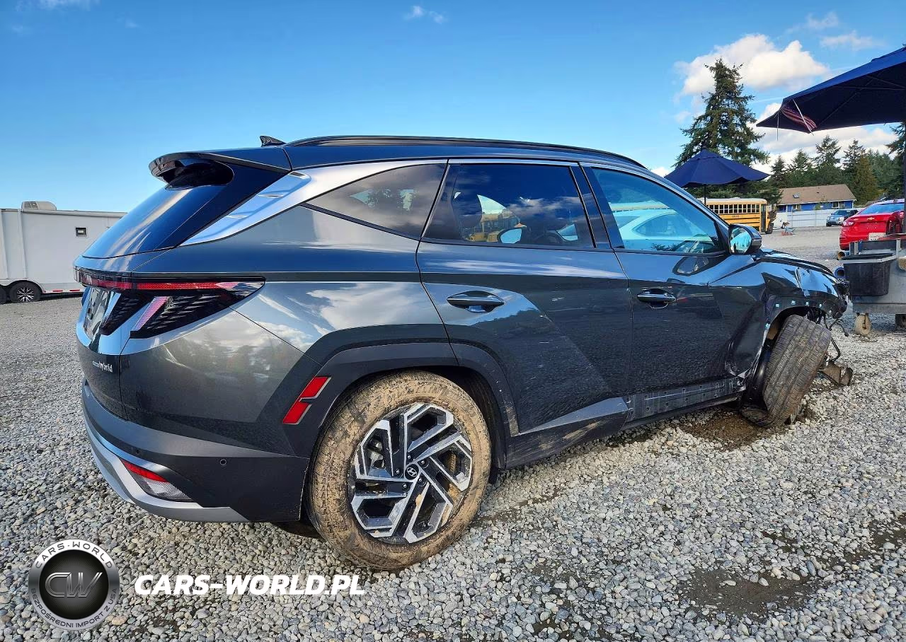 2025 Hyundai Tucson Limited VIN:KM8JEDD17SU253582 - 3