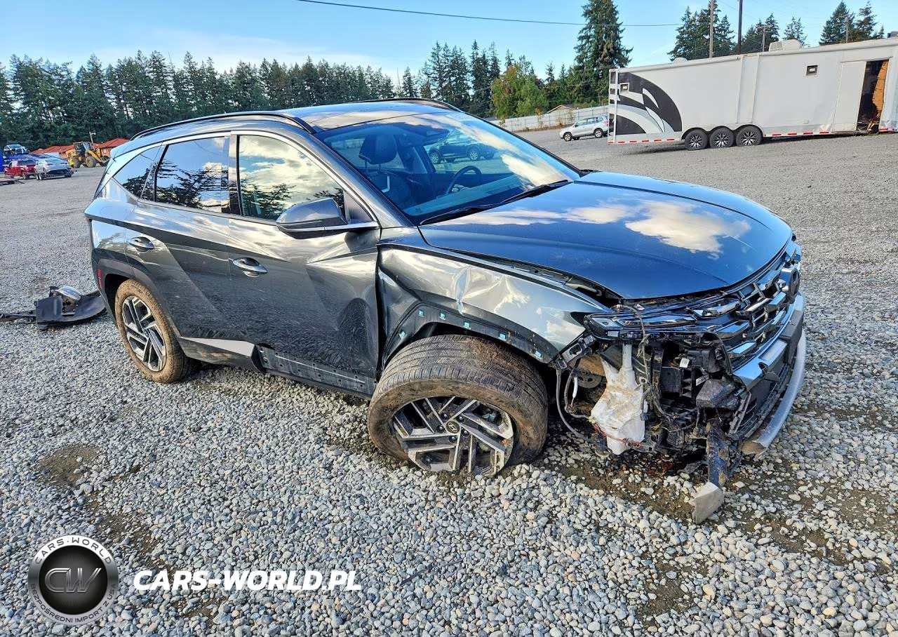 2025 Hyundai Tucson Limited VIN:KM8JEDD17SU253582 - 4