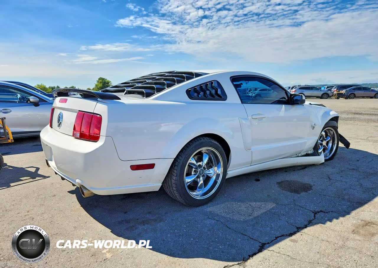 2009 Ford Mustang Gt VIN:1ZVHT82H995122980 - 3
