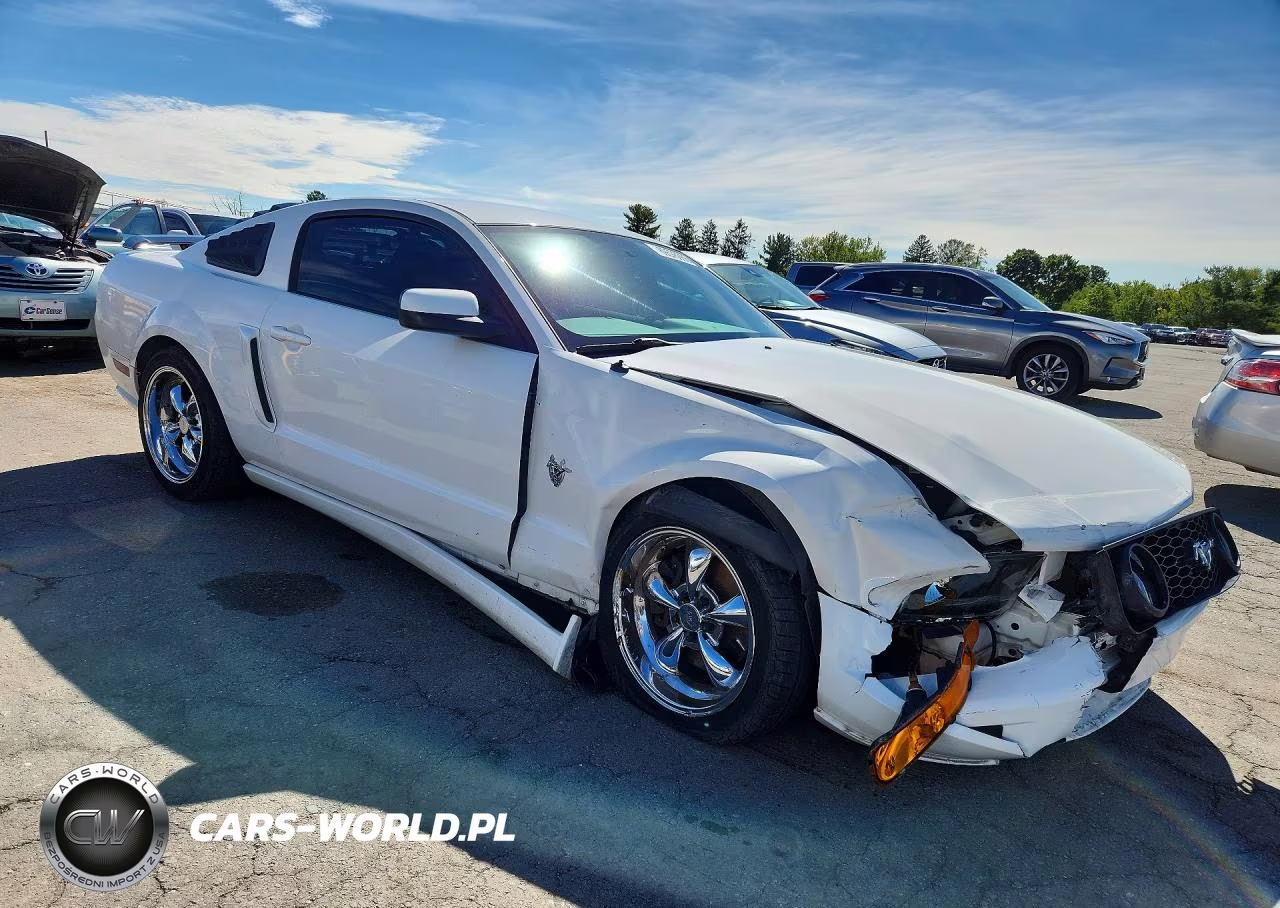 2009 Ford Mustang Gt VIN:1ZVHT82H995122980 - 4