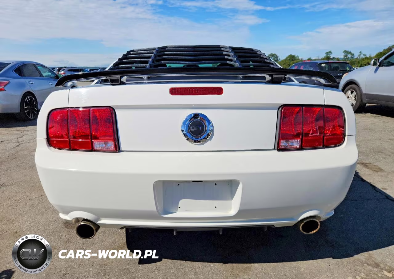 2009 Ford Mustang Gt VIN:1ZVHT82H995122980 - 6