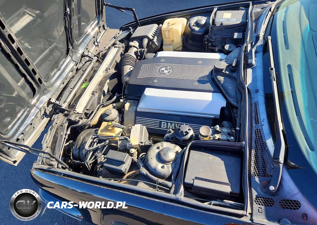 1995 BMW 540 I VIN:WBAHE5321SGA64055 - 11