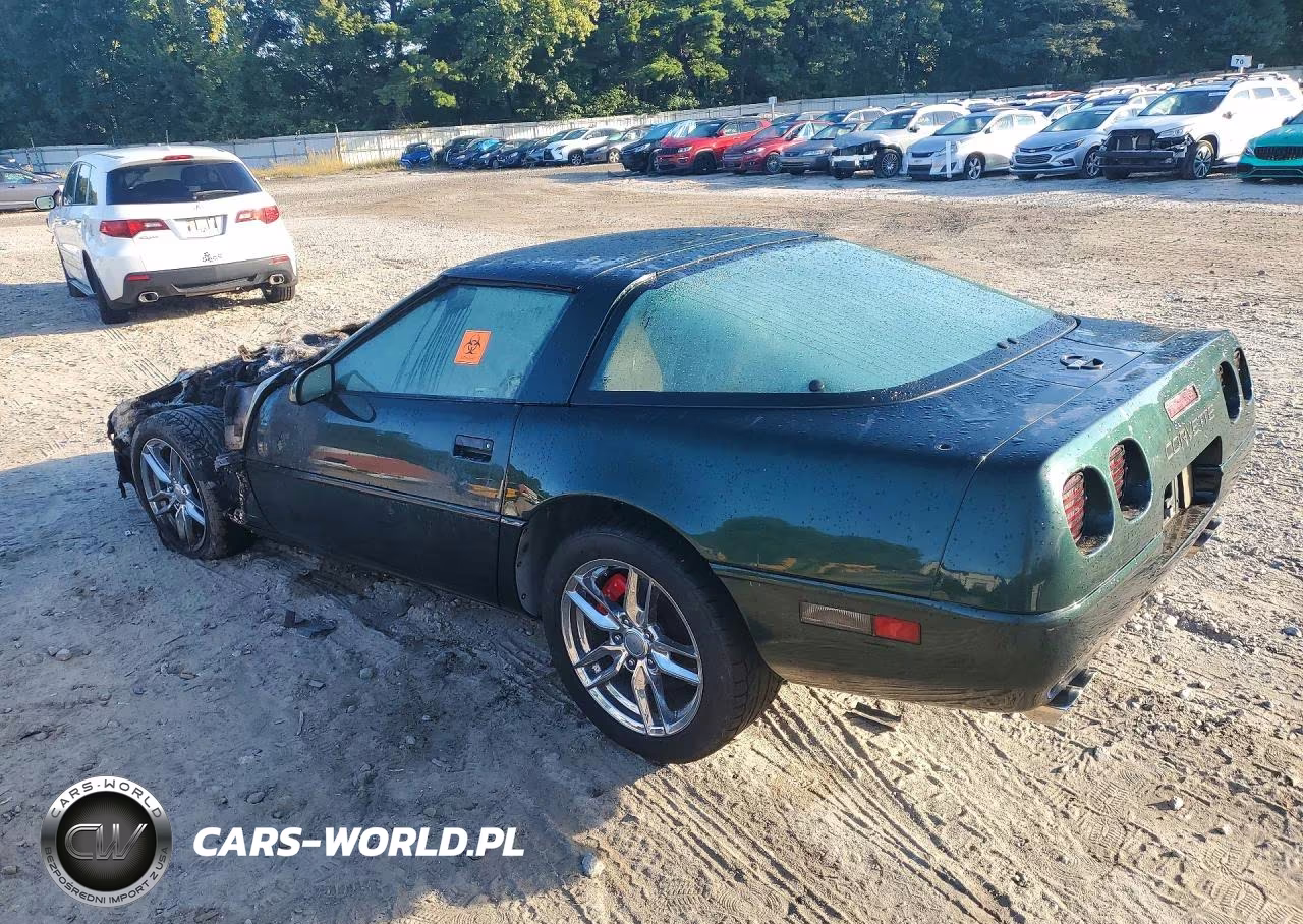 1995 Chevrolet Corvette VIN:1G1YY22P9S5101926 - 2