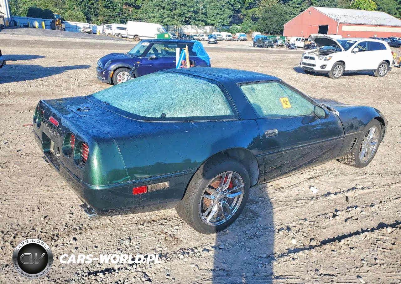 1995 Chevrolet Corvette VIN:1G1YY22P9S5101926 - 3