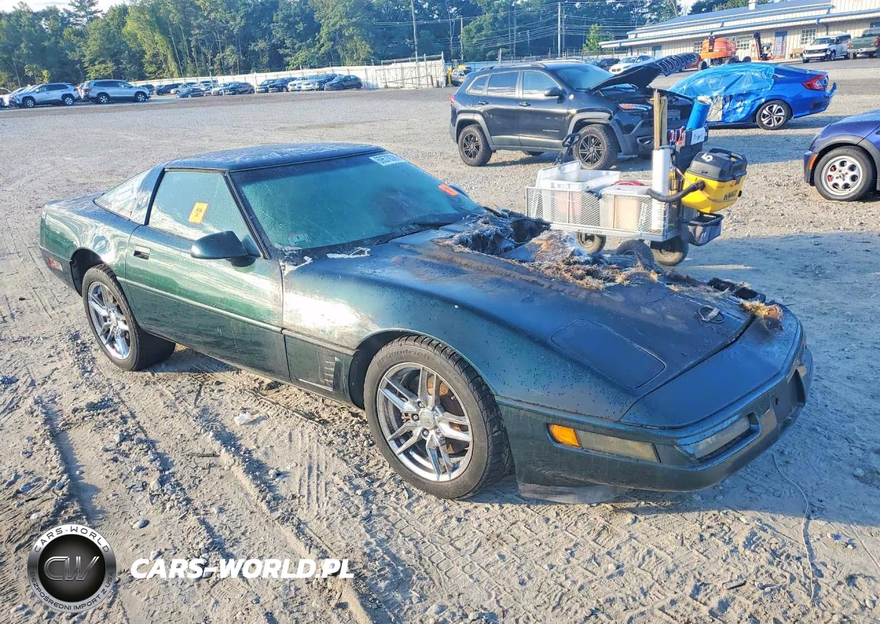 1995 Chevrolet Corvette VIN:1G1YY22P9S5101926 - 4