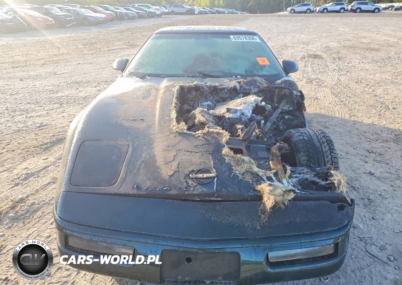1995 Chevrolet Corvette VIN:1G1YY22P9S5101926 - 5
