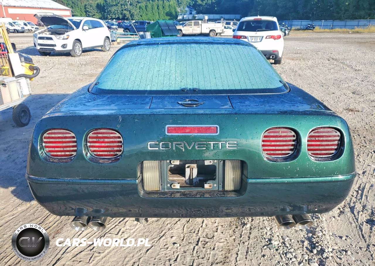 1995 Chevrolet Corvette VIN:1G1YY22P9S5101926 - 6
