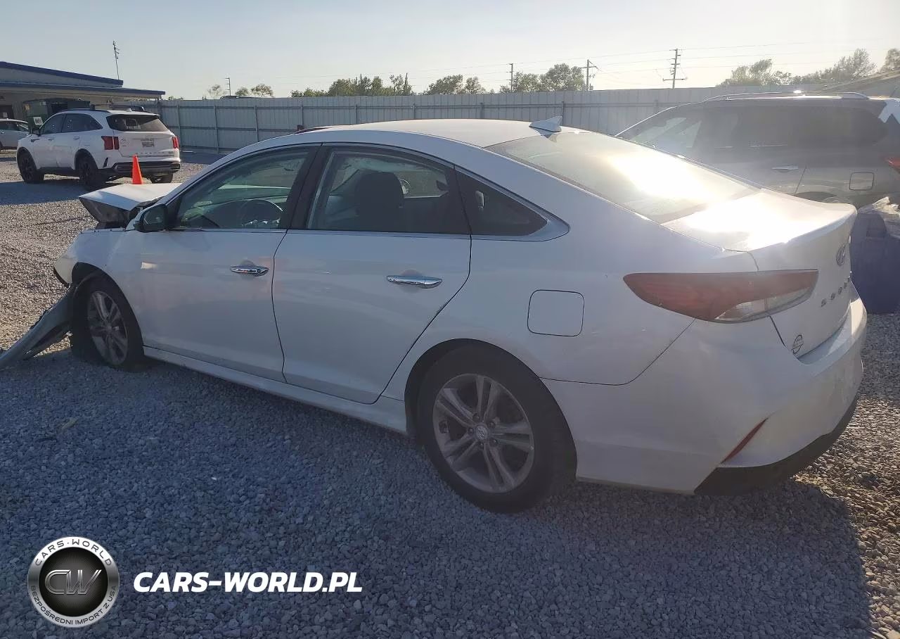 2019 Hyundai Sonata Sel VIN:5NPE34AF4KH785930 - 2