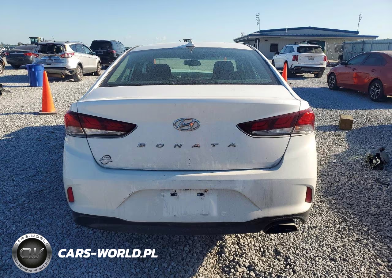 2019 Hyundai Sonata Sel VIN:5NPE34AF4KH785930 - 6