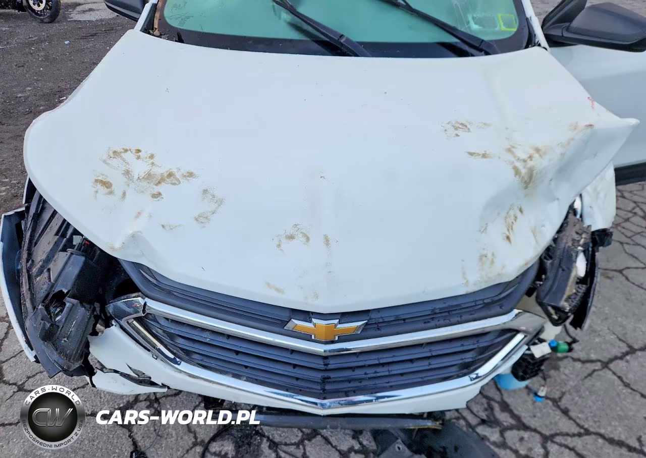 2019 Chevrolet Equinox Ls VIN:2GNAXSEV2K6211282 - 12