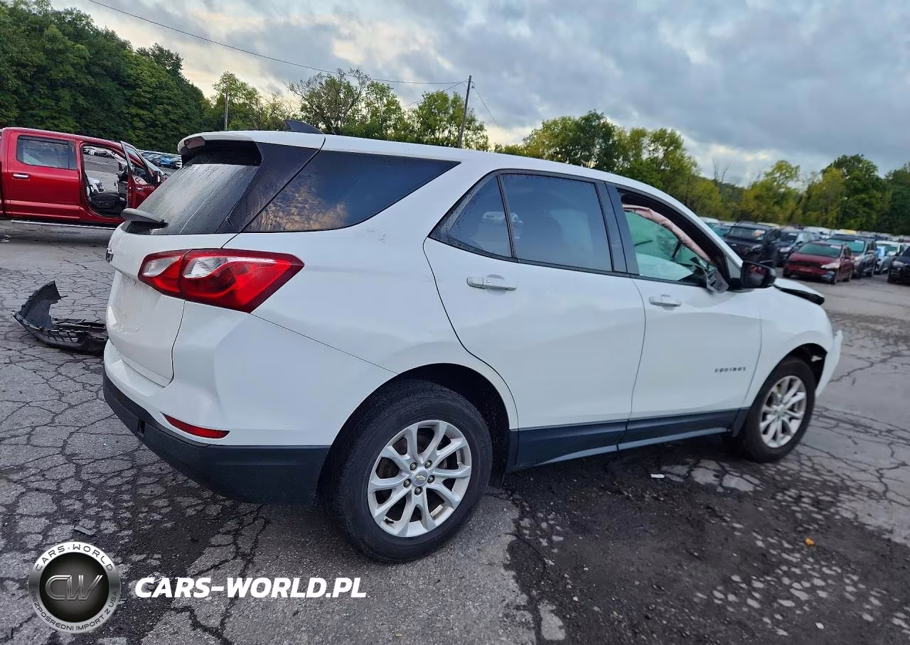 2019 Chevrolet Equinox Ls VIN:2GNAXSEV2K6211282 - 3
