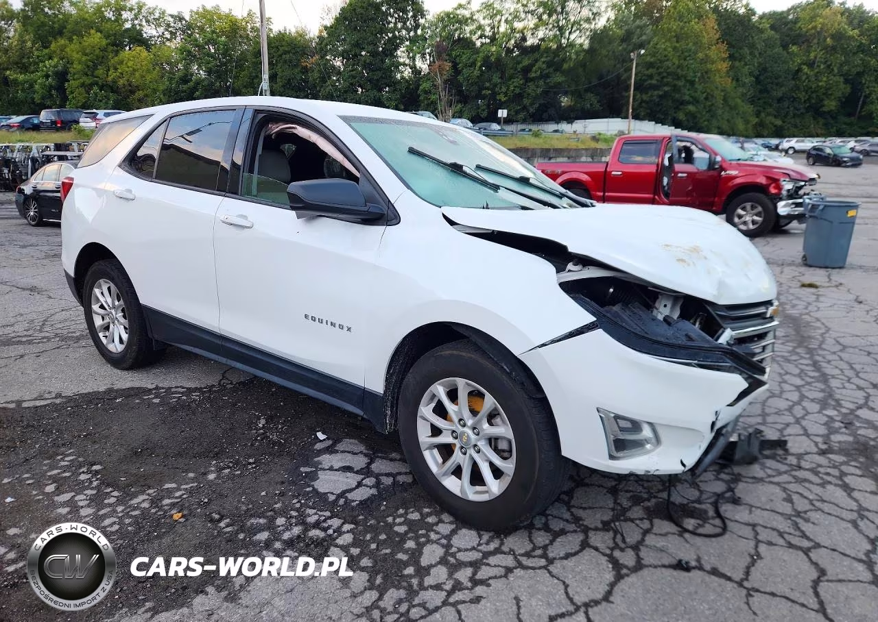 2019 Chevrolet Equinox Ls VIN:2GNAXSEV2K6211282 - 4