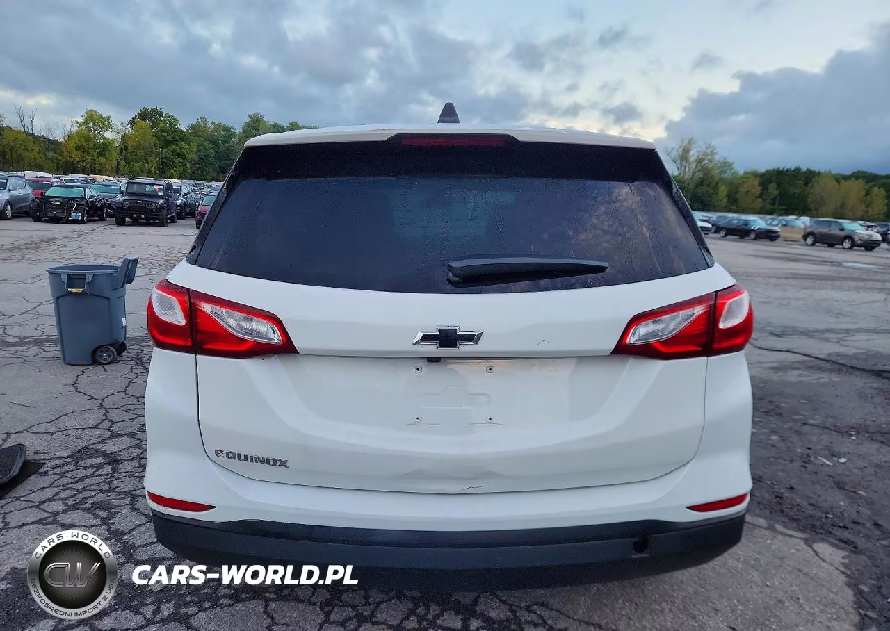 2019 Chevrolet Equinox Ls VIN:2GNAXSEV2K6211282 - 6