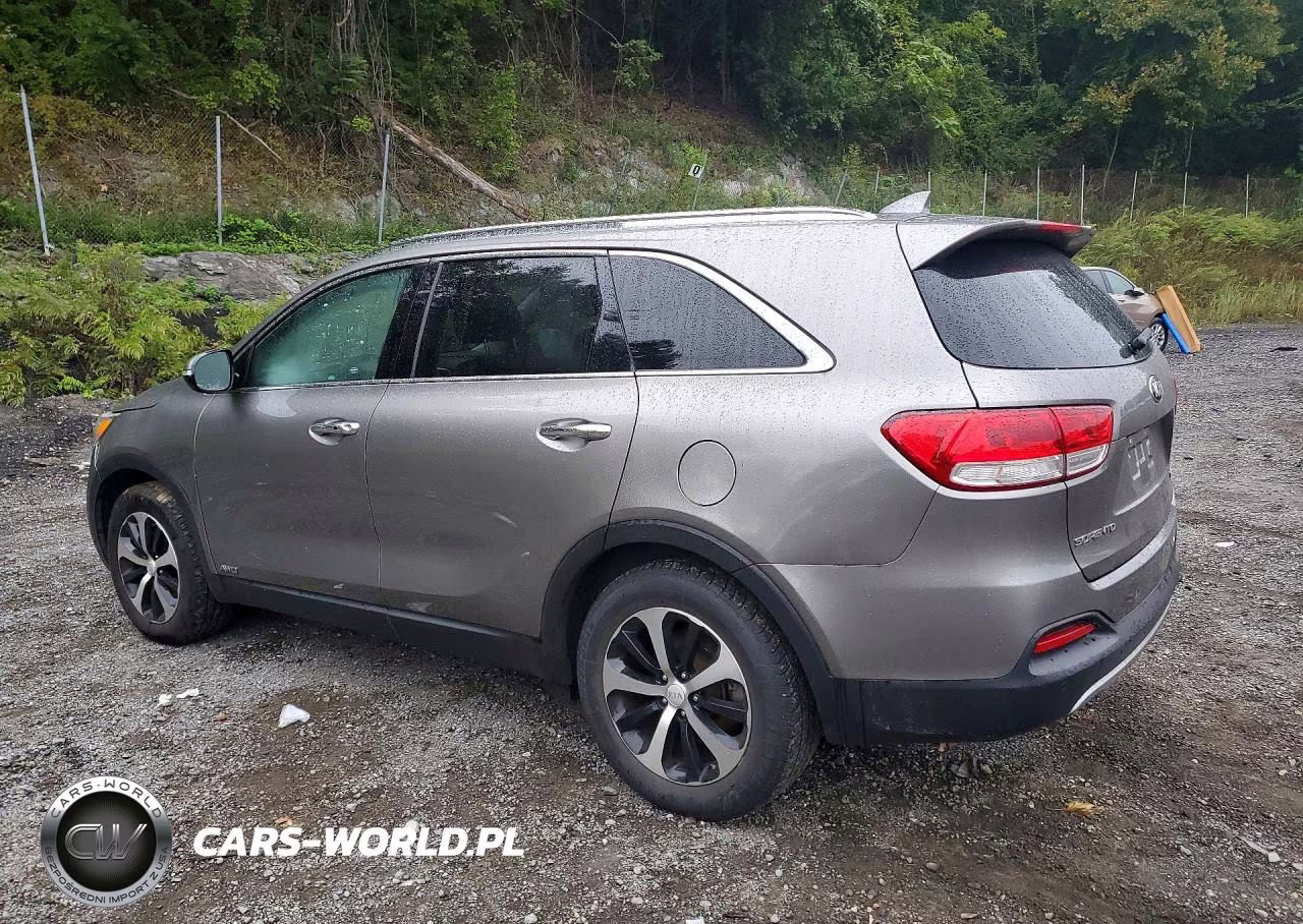 2018 Kia Sorento Ex VIN:5XYPHDA13JG356864 - 2