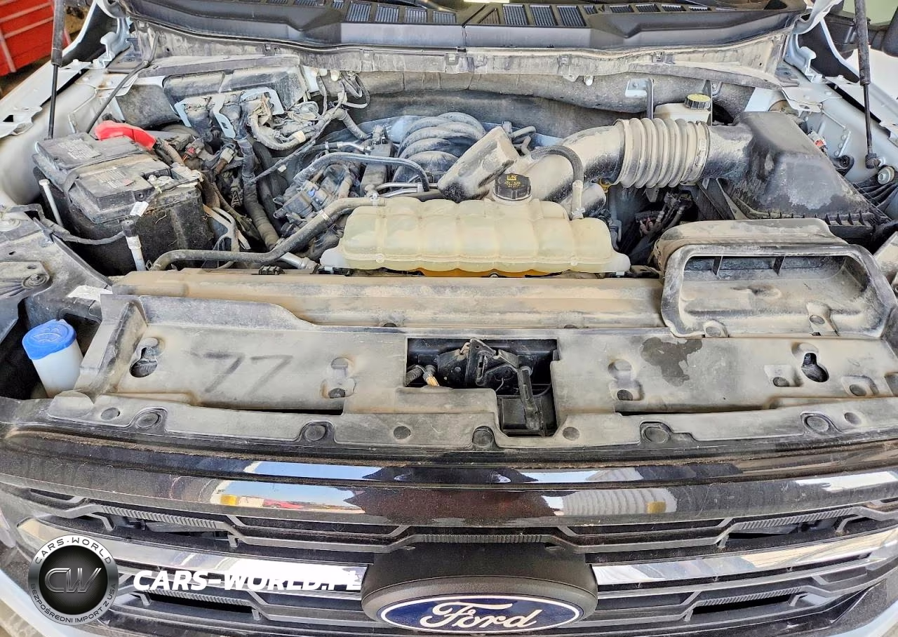 2024 Ford F150 Xlt VIN:1FTFW3L54RKE23733 - 11