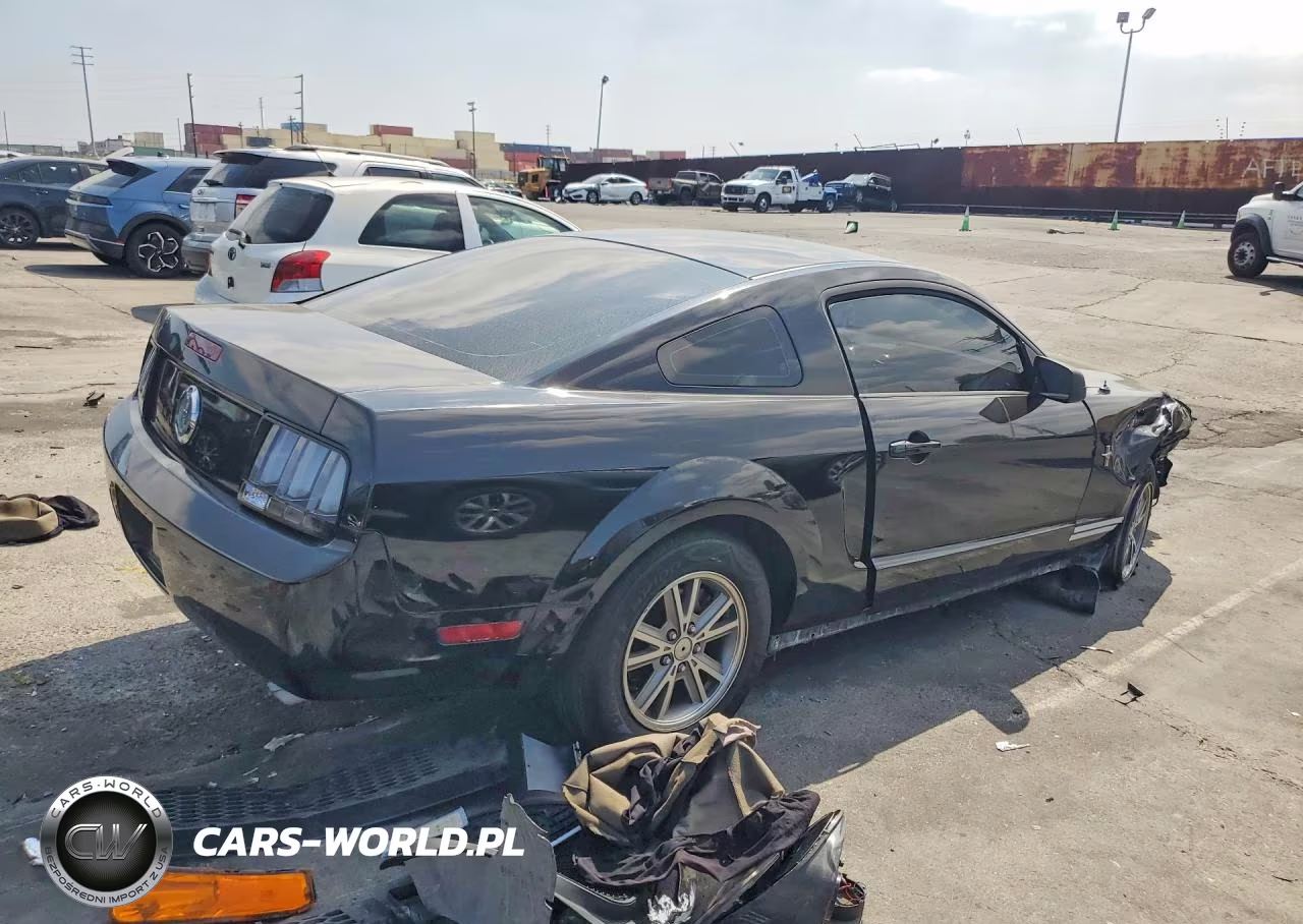 2005 Ford Mustang VIN:1ZVFT80N355188614 - 3