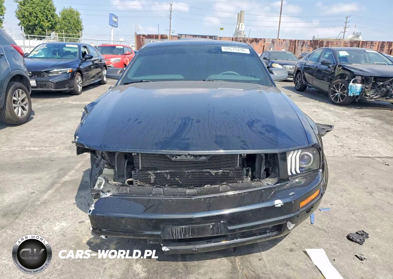 2005 Ford Mustang VIN:1ZVFT80N355188614 - 5