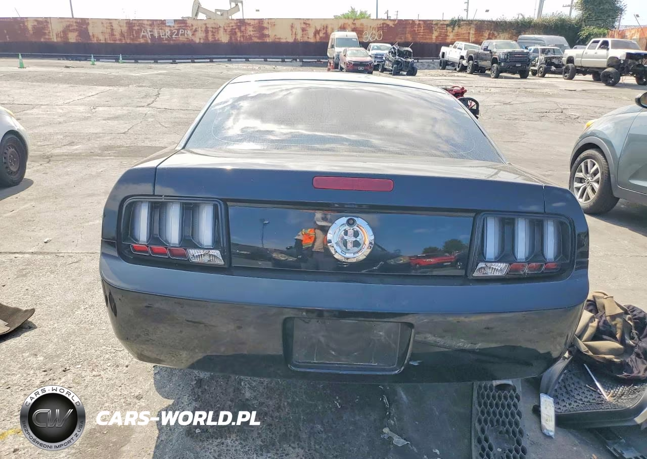 2005 Ford Mustang VIN:1ZVFT80N355188614 - 6
