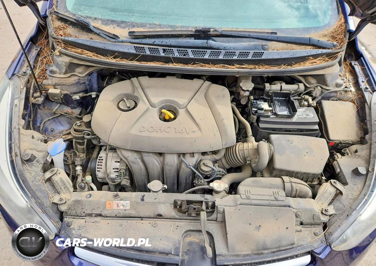 2014 Hyundai Elantra Se VIN:5NPDH4AE1EH515448 - 11