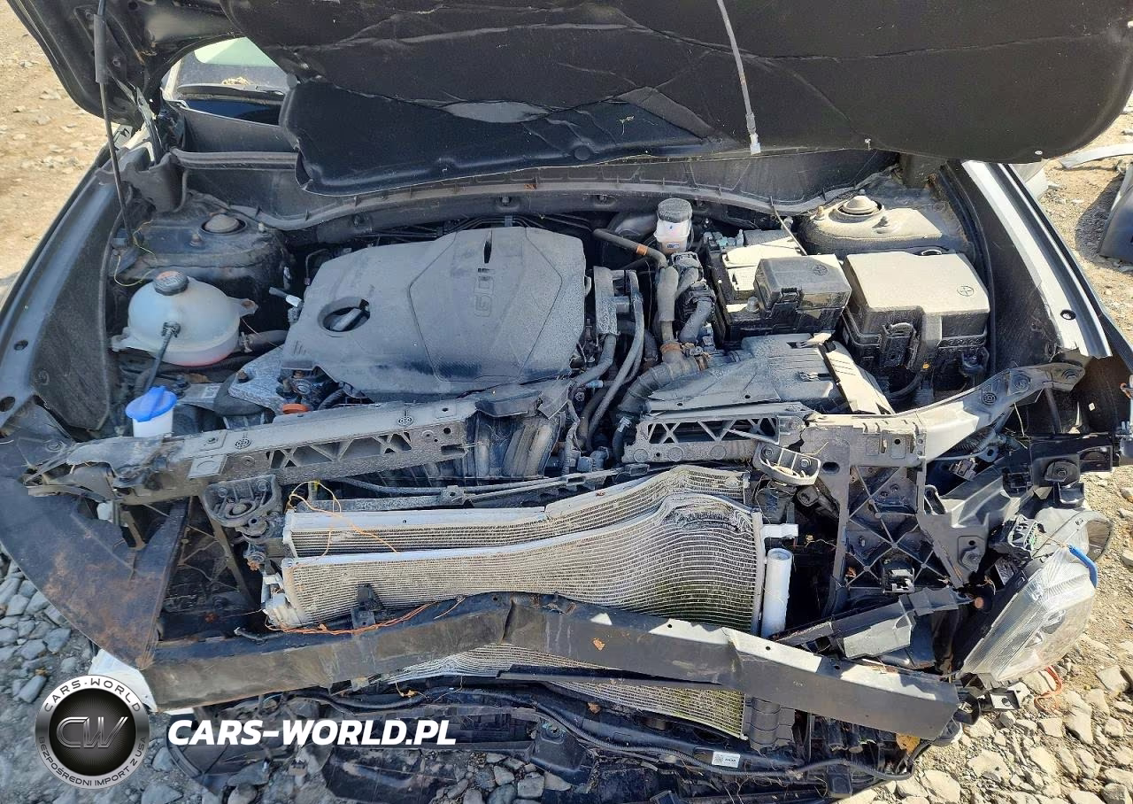 2024 Hyundai Tucson Sel VIN:5NMJBCDE5RH417732 - 12