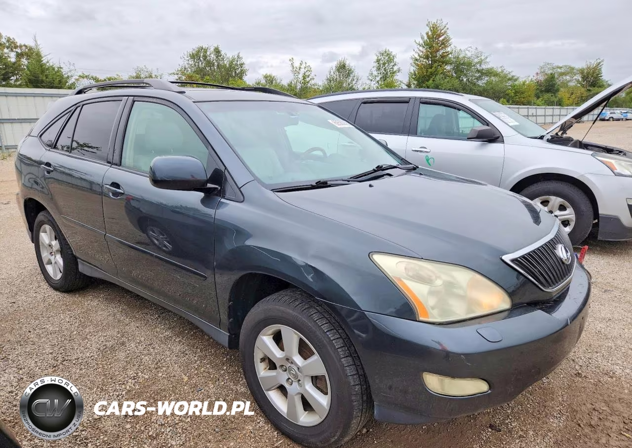 2004 Lexus Rx 330 VIN:JTJGA31U040030455 - 4