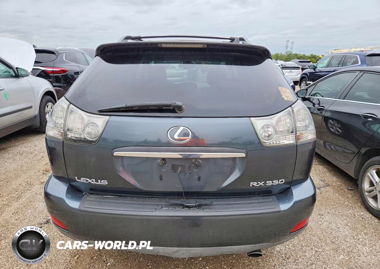 2004 Lexus Rx 330 VIN:JTJGA31U040030455 - 6