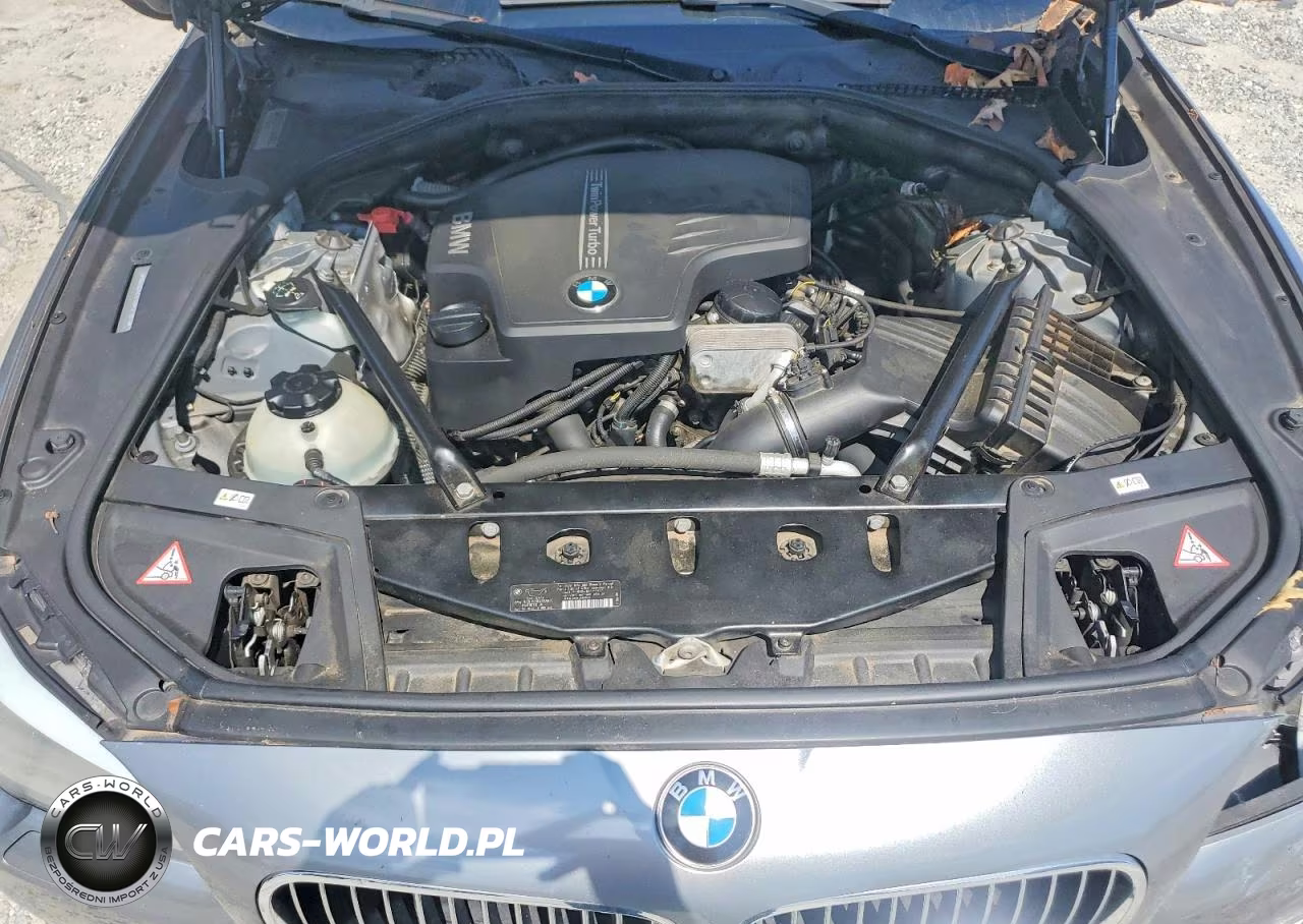 2013 BMW 528 I VIN:WBAXG5C52DDY37987 - 11