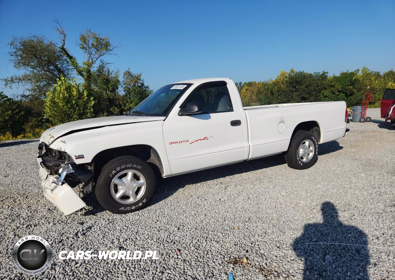 1999 Dodge Dakota VIN:1B7FL26X3XS250686 - 1
