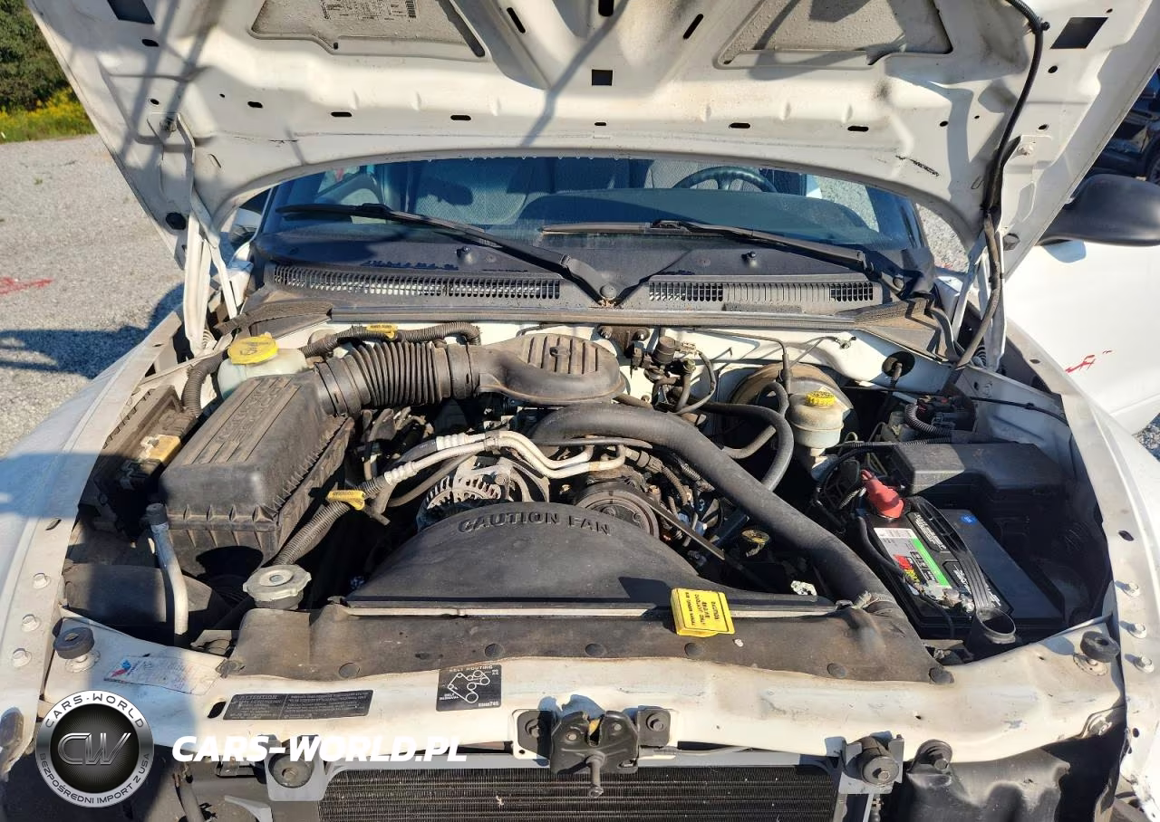 1999 Dodge Dakota VIN:1B7FL26X3XS250686 - 11