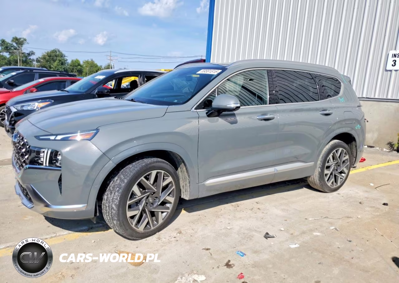 2022 Hyundai Santa Fe Calligraphy VIN:5NMS54AL9NH453244 - 1