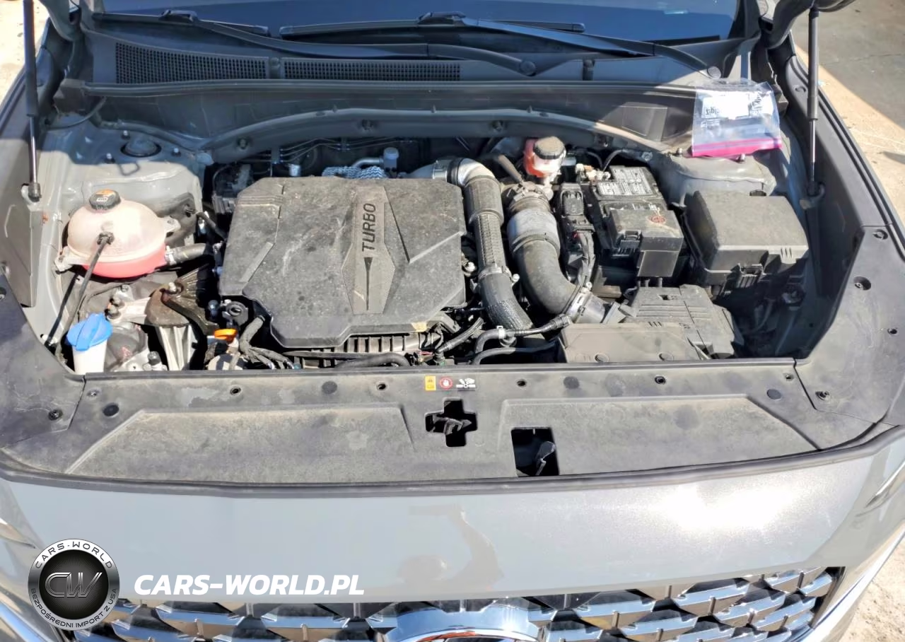 2022 Hyundai Santa Fe Calligraphy VIN:5NMS54AL9NH453244 - 12
