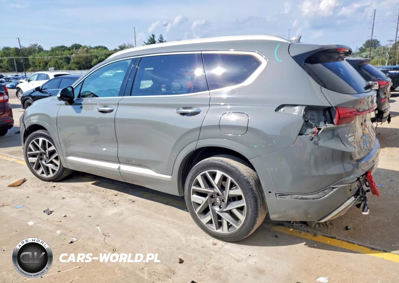 2022 Hyundai Santa Fe Calligraphy VIN:5NMS54AL9NH453244 - 2