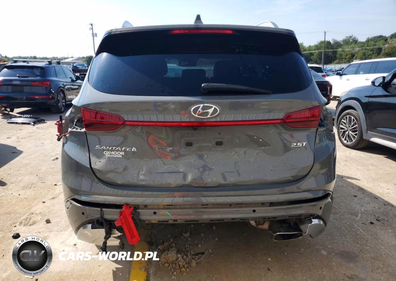 2022 Hyundai Santa Fe Calligraphy VIN:5NMS54AL9NH453244 - 6