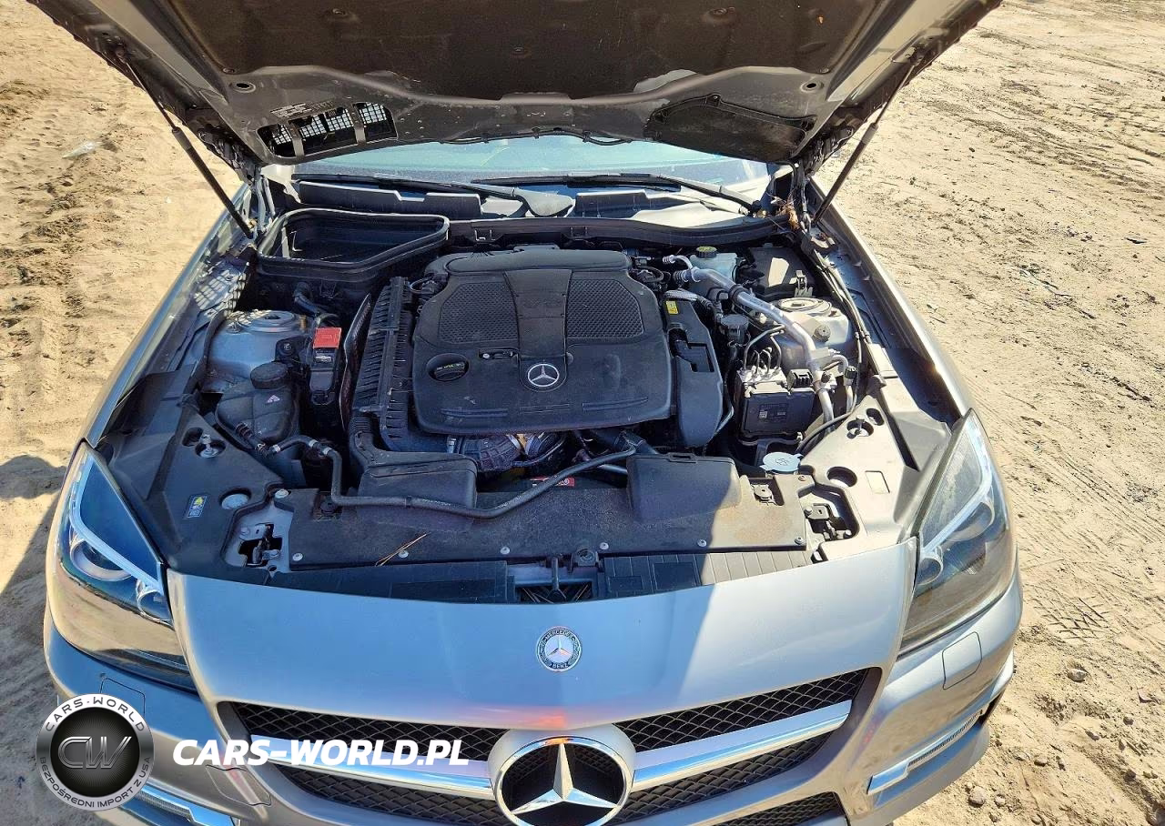 2012 Mercedes-Benz Slk 350 VIN:WDDPK5HAXCF024042 - 11