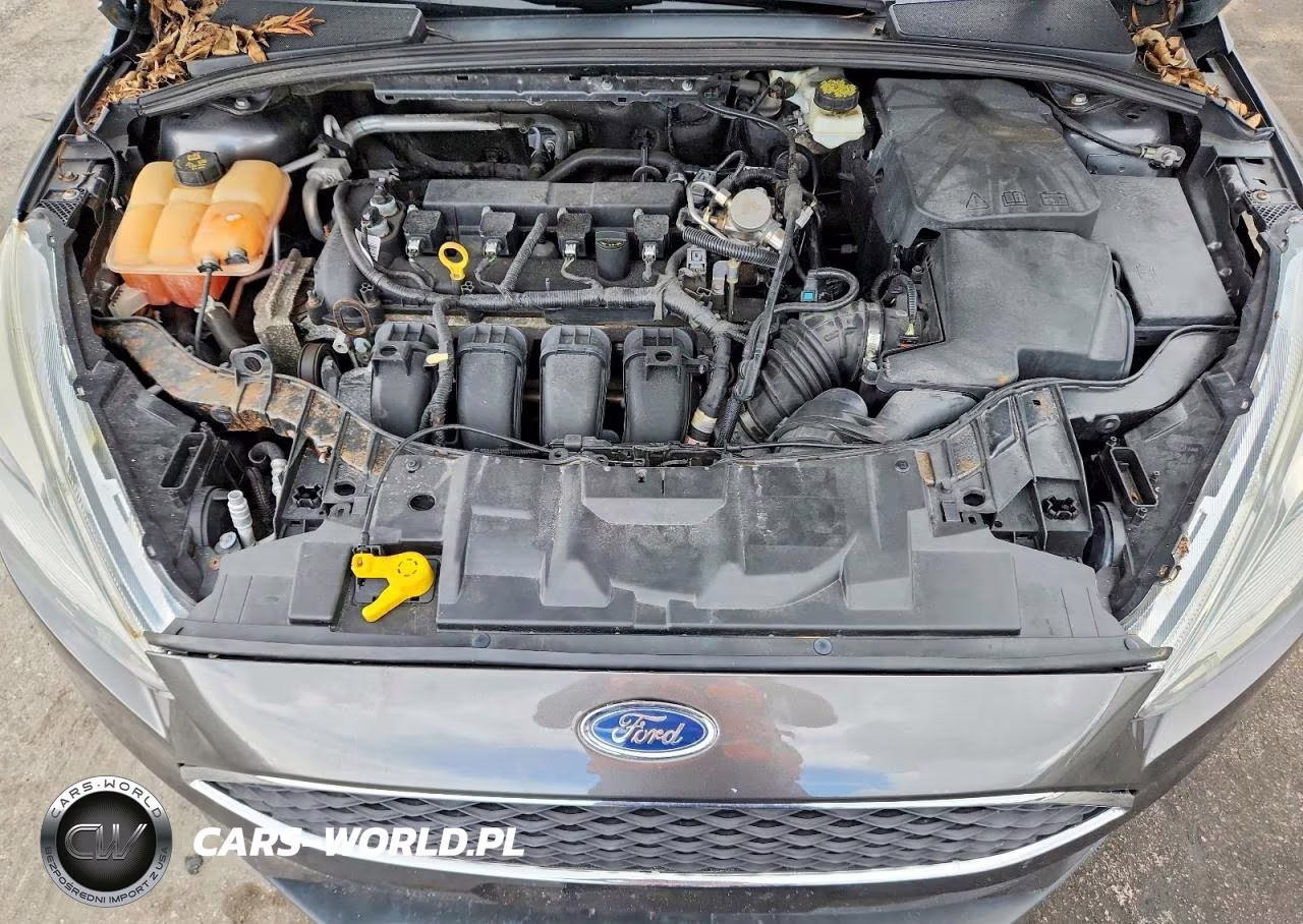 2018 Ford Focus Sel VIN:1FADP3H2XJL318668 - 11