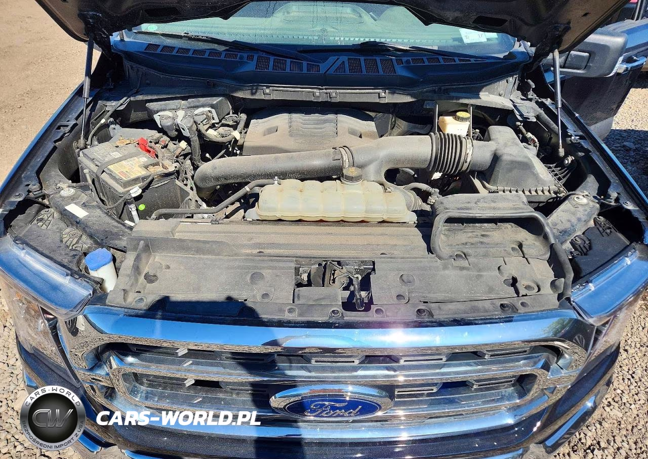 2021 Ford F150 Supercrew VIN:1FTFW1E86MFC57664 - 11