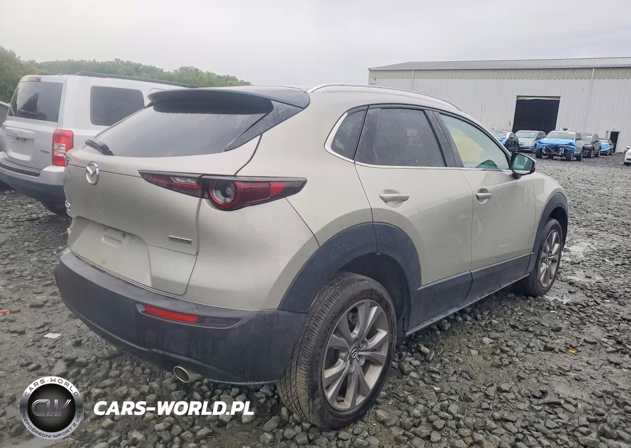 2022 Mazda Cx-30 Select VIN:3MVDMBBLXNM441596 - 3