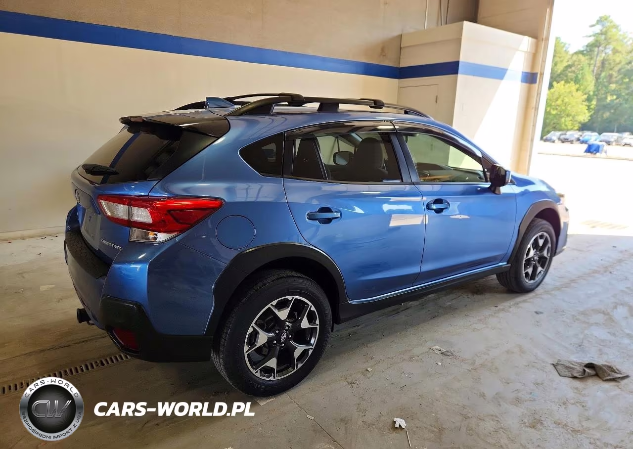 2019 Subaru Crosstrek Premium VIN:JF2GTAEC1KH343811 - 3