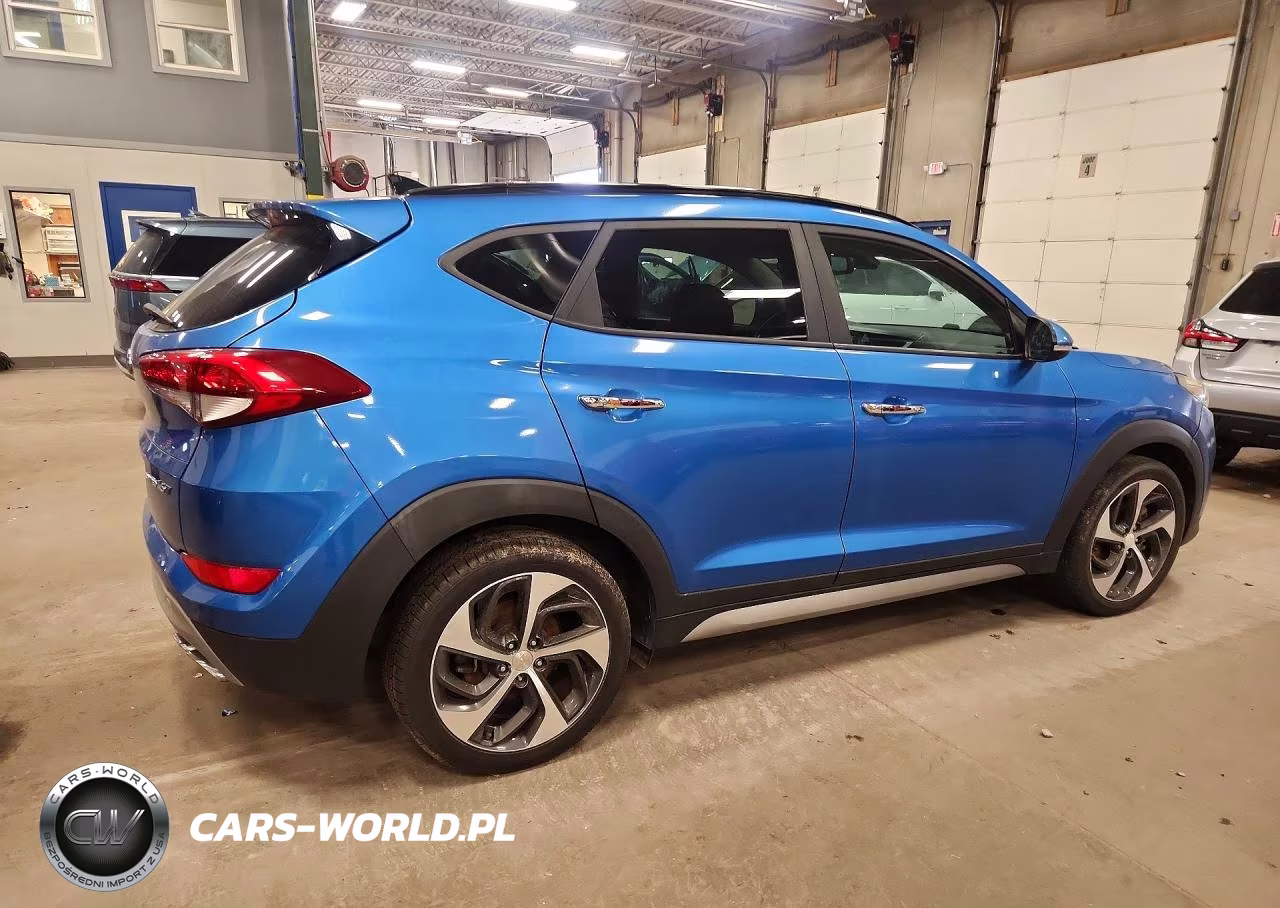 2017 Hyundai Tucson Limited VIN:KM8J33A2XHU327695 - 3