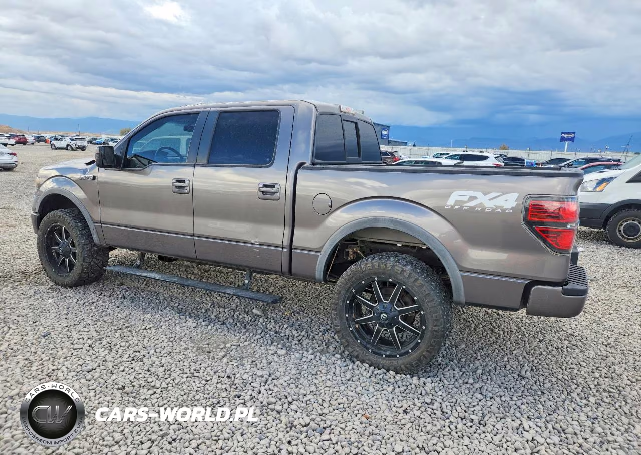 2014 Ford F150 Rousch VIN:1FTFW1EF3EKD42954 - 2