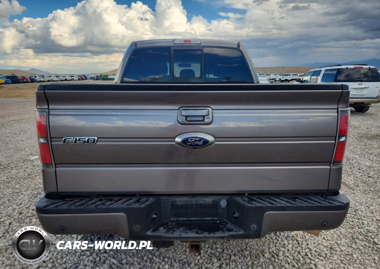 2014 Ford F150 Rousch VIN:1FTFW1EF3EKD42954 - 6