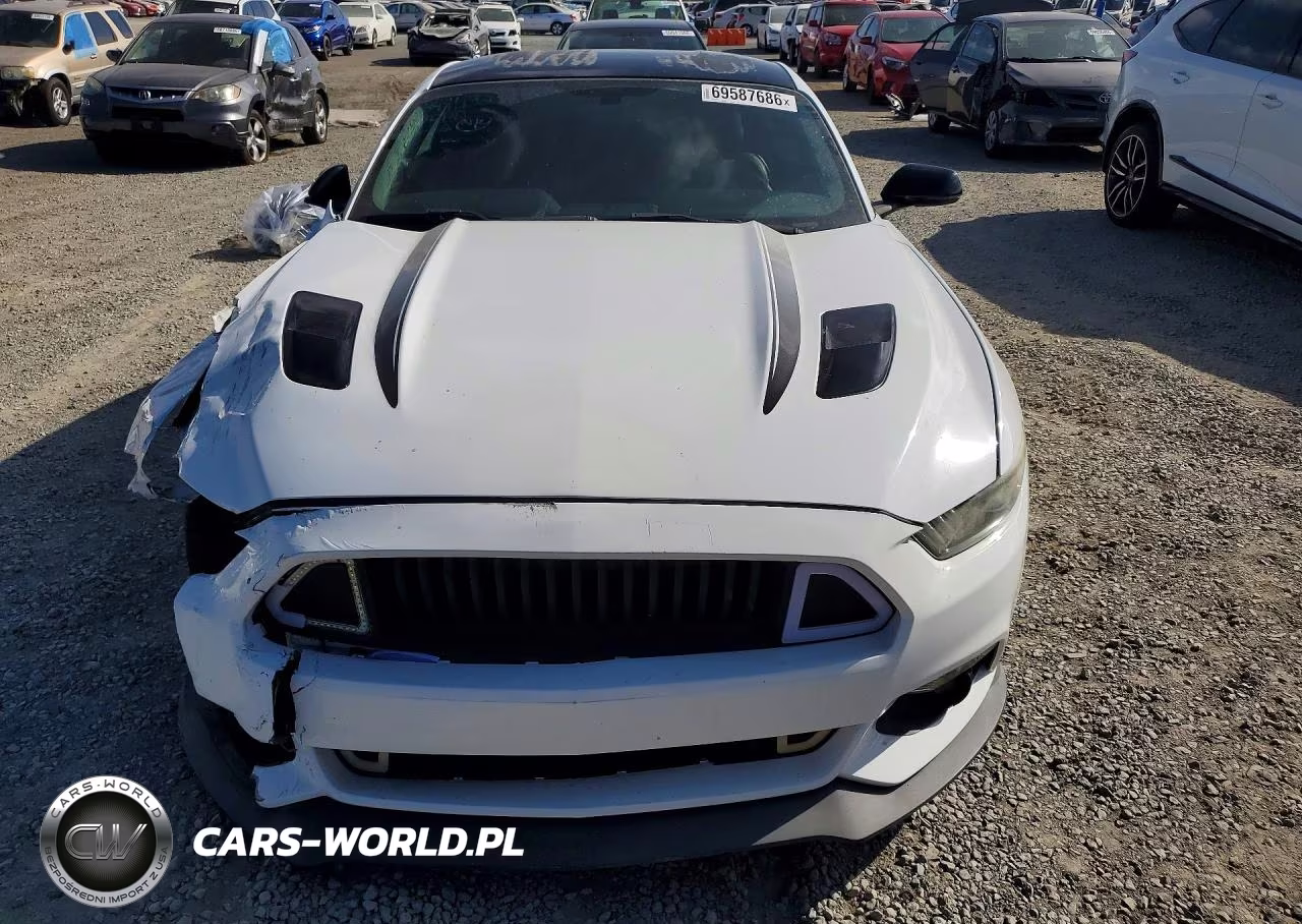 2017 Ford Mustang Gt VIN:1FA6P8CF4H5213770 - 5