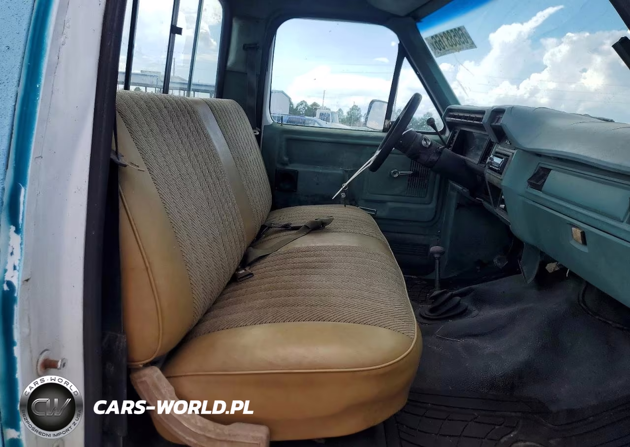 1981 Ford F150 VIN:1FTDF15E6BNA83367 - 10