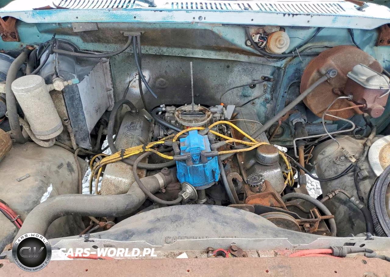 1981 Ford F150 VIN:1FTDF15E6BNA83367 - 11