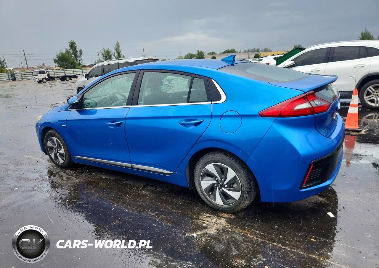 2017 Hyundai Ioniq Sel VIN:KMHC75LC6HU020510 - 2