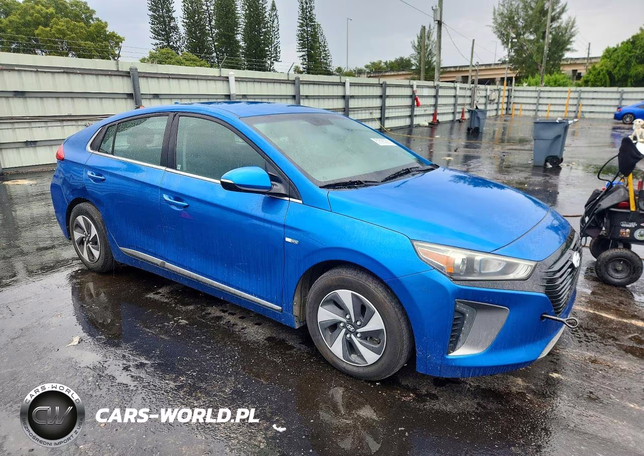 2017 Hyundai Ioniq Sel VIN:KMHC75LC6HU020510 - 4